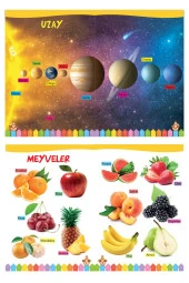 3-6 Yaş İlk Kelimelerim Seti 850 Kelime Öğreten 5 Kitap - 3