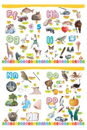 3-6 Yaş İlk Kelimelerim Seti 850 Kelime Öğreten 5 Kitap - 5