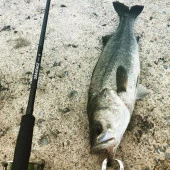 Apia Grandage STD 100M 305cm 12-42gr Spin Olta Kamışı thumbnail 1