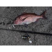 Apia Grandage STD 106MH 320cm 14-50gr Spin Olta Kamışı thumbnail 1