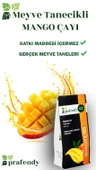 PRAFENDY MANGO ÇAYI -GERÇEK MEYVE TANELİ 250 GR - 3