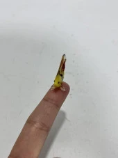 El Yapımı Mini Murano Cam Balık Biblo A155-03 thumbnail 4