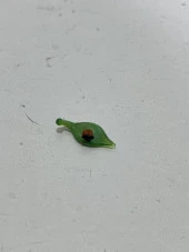 El Yapımı Mini Murano Cam Yaprak Üstü Uğur Böceği Biblo A155-09 thumbnail 3