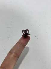 El Yapımı Mini Murano Cam Köpek Biblo A156-01 thumbnail 4