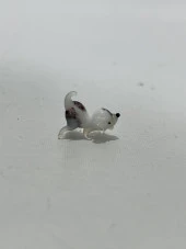 El Yapımı Mini Murano Cam Köpek Biblo A157-01 thumbnail 3