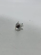 El Yapımı Mini Murano Cam Köpek Biblo A157-01 thumbnail 4