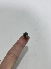 El Yapımı Mini Murano Cam Koyun Biblo A158-06 thumbnail 4