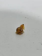 El Yapımı Mini Murano Cam Koyun Biblo A157-07 thumbnail 3