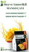 PRAFENDY MANGO ÇAYI - GERÇEK MEYVE TANELİ 1000 GR - 3