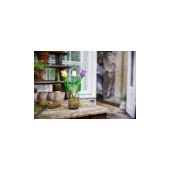 Lego 40747 Daffodils thumbnail 3