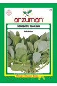 ARZUMAN SEMİZOTU TOHUM (TOROS NAZLISI ) 10 GR thumbnail 1