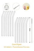 Cam Pipet 12 Adet ve Pipet Temizleme Fırçası, Cam bardak pipeti, Kalın Cam Pipet - 1
