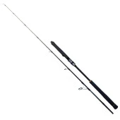 Ryuji Seawolf 198 cm 150-250 gr Jig Kamış thumbnail 1