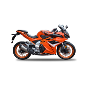 Yuki Taro 250R Sports 250 cc Motosiklet 2023 Model - 2