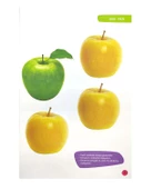 3-4 Yaş Renk ve Şekil Etkinliklerim Kitabı Erdem Yayınları thumbnail 2