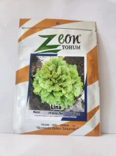 Marul Tohumu Lina (Arapsaçı Tipi) - 10 gr (2500-5000 Adet Tohum) - 2