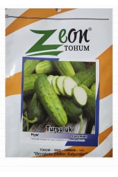 Hıyar Tohumu Kornişon Turşuluk - 5 gr (150-175 Adet Tohum) - 3