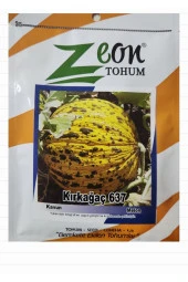 Kavun Tohumu Kırkağaç 637 - 10 gr (250-400 Adet Tohum) - 3