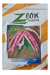 Barbunya Tohumu Buse (Oturak Tip) - 50 gr - 3