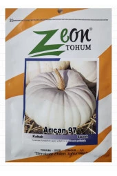 Kabak Tohumu Arıcan - 10 gr (50-70 Adet Tohum) - 2