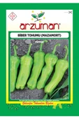 ARZUMAN MAZAMORT BİBER TOHUMU 10 GR - 1