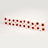 5 Cm Parmak Rulo Yedeği 10 Adet - 3