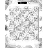 Süper Ötesi Labirent Bulmaca Kitap Seti (3 Süper Kitap) thumbnail 2