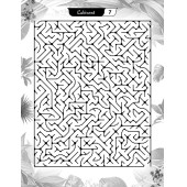 Süper Ötesi Labirent Bulmaca Kitap Seti (3 Süper Kitap) thumbnail 4