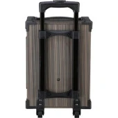 Torima LT-910 Kablosuz 2 Mikrofonlu Kablosuz Hoparlör thumbnail 2