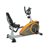 Voit R-60 Bronze Collection Yatay Bisiklet - 1