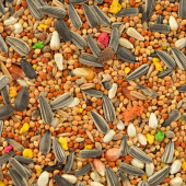 Sultan Papağanı Yemi Quik Paraket Yemi 750 gram - Papağan Yemi 750 gr. - 2