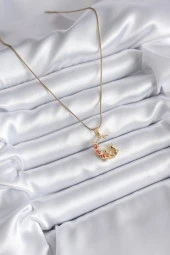 316L Çelik Gold Renk Hilal Kedi Model Zirkon Taşlı Detay Kadın Kolye thumbnail 2