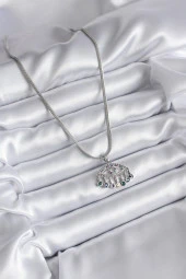 316L Çelik Gümüş Renk İtalyan Zincir Zirkon Taşlı Göz Figür Kadın Kolye thumbnail 2