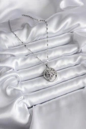 316L Çelik Gümüş Renk Zirkon Taşlı Puma Model Kadın Kolye thumbnail 2