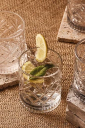 Melony Short 4’lü Bardak 220ml - 2