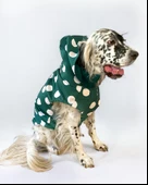 Mega Dots Green Köpek Kapşonlu Yağmurluk Orta ve Büyük Irklar İçin - 3