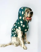 Mega Dots Green Köpek Kapşonlu Yağmurluk Orta ve Büyük Irklar İçin - 2