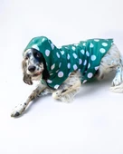 Mega Dots Green Köpek Kapşonlu Yağmurluk Orta ve Büyük Irklar İçin - 8
