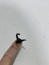 El Yapımı Mini Murano Cam Akrep Biblo A160-04 thumbnail 5