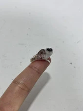 El Yapımı Mini Murano Cam Baykuş Biblo A161-01 thumbnail 4