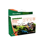 EuroStar Bitki Tohumu Eleocharis Parvula - 1