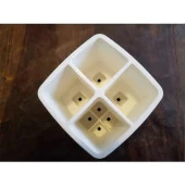 Diş Fırçası ve Diş Macunu Tutucu Mosilla 2024 Serisi - 3