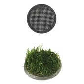 Ista Bitki Taban Seramik 5 cm Yuvarlak - 1