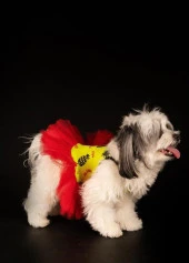 Ananas Kedi & Köpek Elbise -L - 6