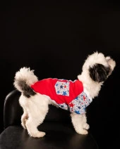 Yıldız Kedi & Köpek T-shirt -S - 1