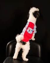 Yıldız Kedi & Köpek T-shirt -S - 2
