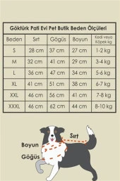 Orange Kedi & Köpek Sweatshirt-M - 4
