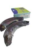 ARKA FREN BALATASI KAMPANA POLO SEAT CORDOBA - 3