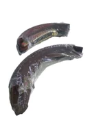 ARKA FREN BALATASI KAMPANA POLO SEAT CORDOBA - 2