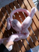 Kulakları Hareket Eden Sesli Peluş Tavşan Kulaklık Taç - 5